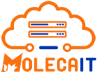 Logo MolecaIT